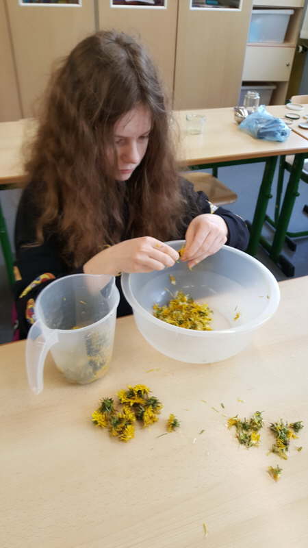 Projekt Wiesenblumen 19