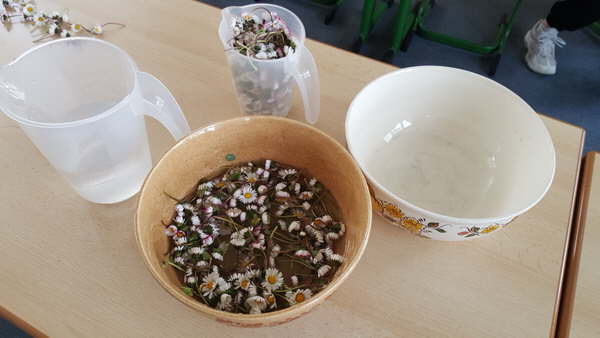 Projekt Wiesenblumen 26