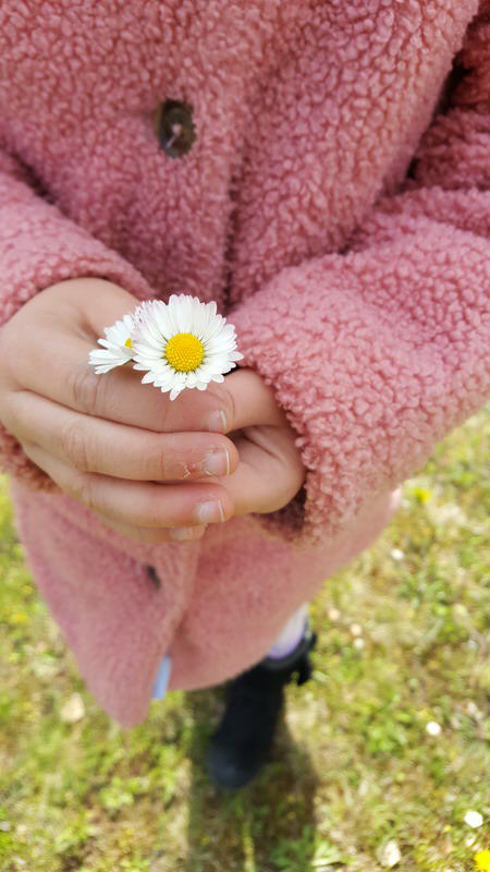 Projekt Wiesenblumen 28