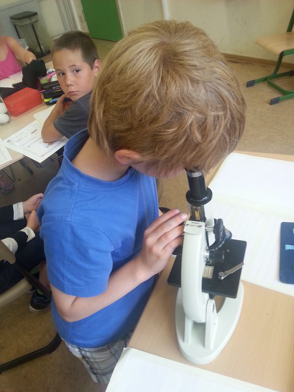 Projektwoche13