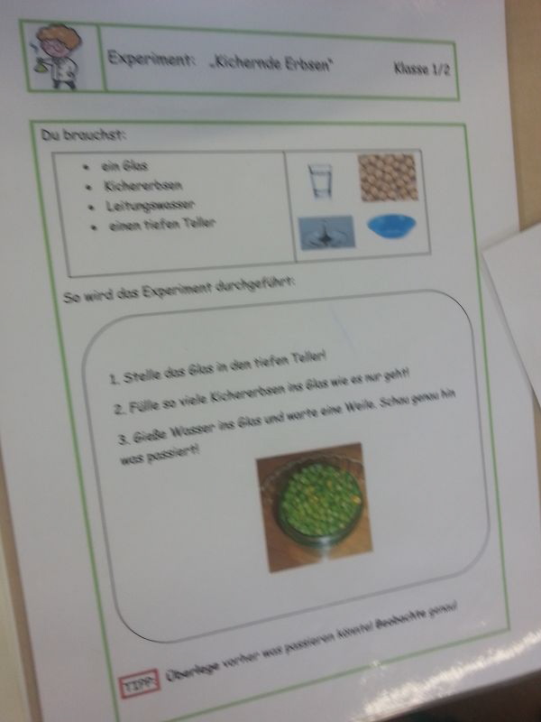 Projektwoche15