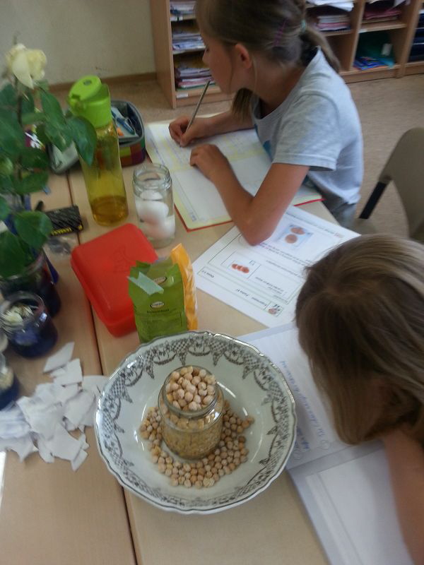 Projektwoche37