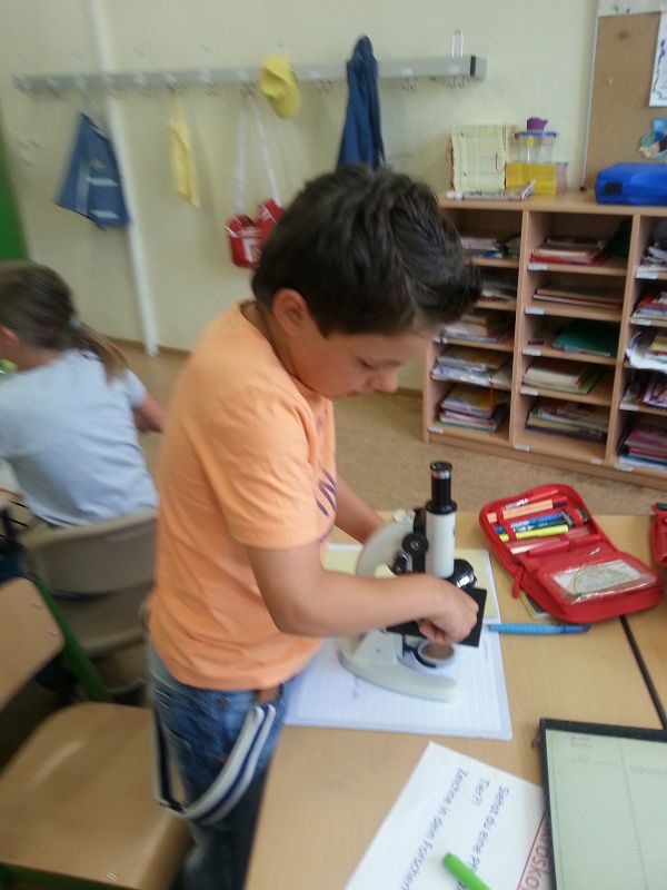 Projektwoche40
