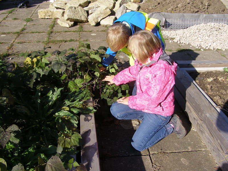 Schulgarten2014_02