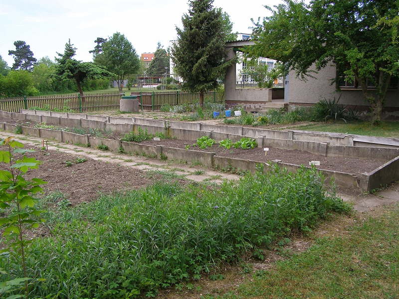 Schulgarten Arbeitseinsatz02