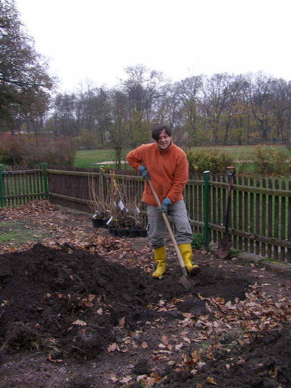 Schulgarten Arbeitseinsatz05
