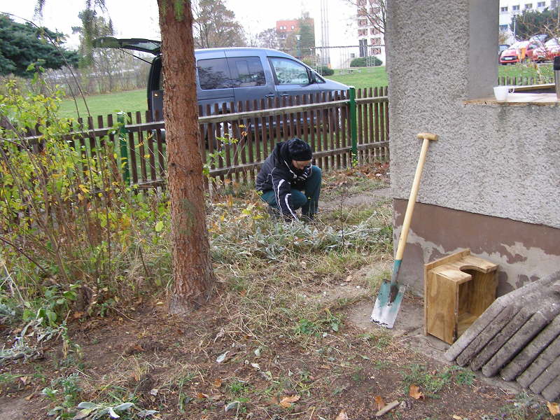 Schulgarten Arbeitseinsatz11