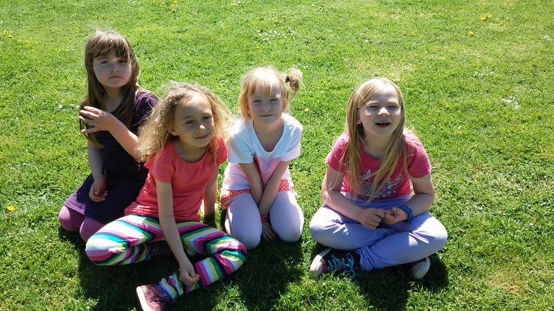 Schulgartenfest2015_08