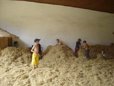 Tirica Vippachedelhausen10