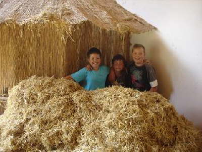 Tirica Vippachedelhausen11