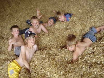 Tirica Vippachedelhausen12