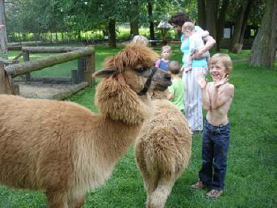 Tirica Vippachedelhausen13