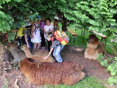 Tirica Vippachedelhausen20