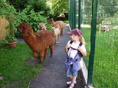 Tirica Vippachedelhausen21