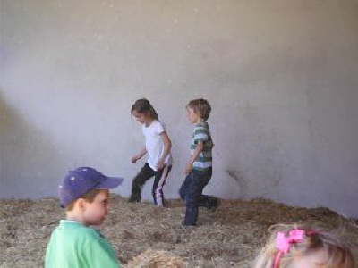 Tirica Vippachedelhausen23