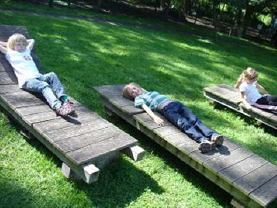 Tirica Vippachedelhausen2