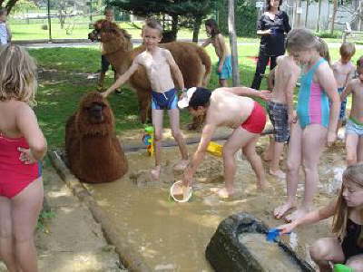 Tirica Vippachedelhausen8