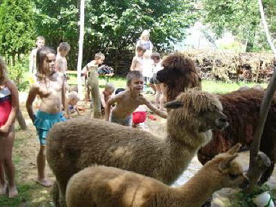 Tirica Vippachedelhausen9